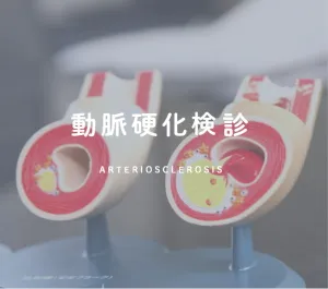 動脈硬化健診